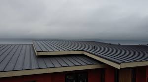 Best Commercial Roofing Services  in Brinckerhoff, NY